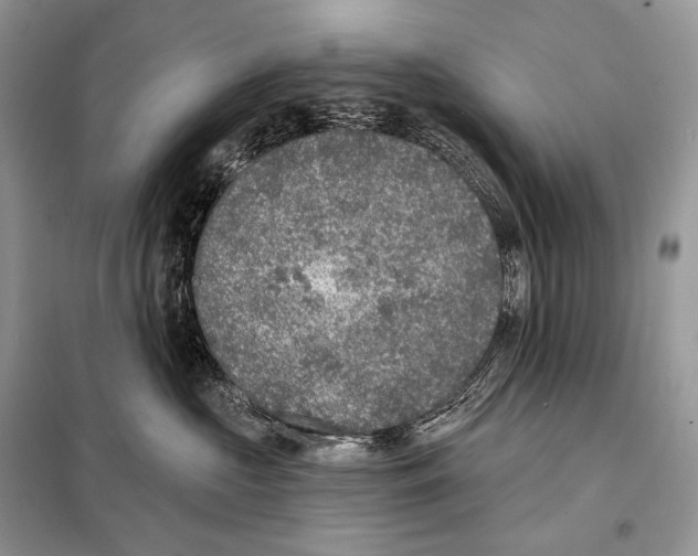 X0000098110573200805021135