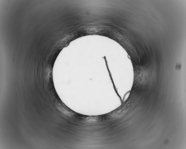 X0000098110574200805021135