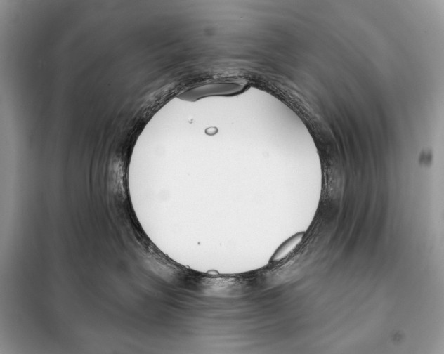 X0000098110575200805021135