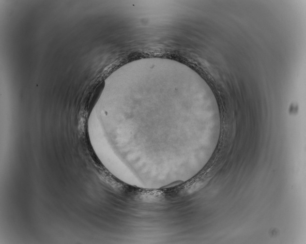 X0000098110576200805021135