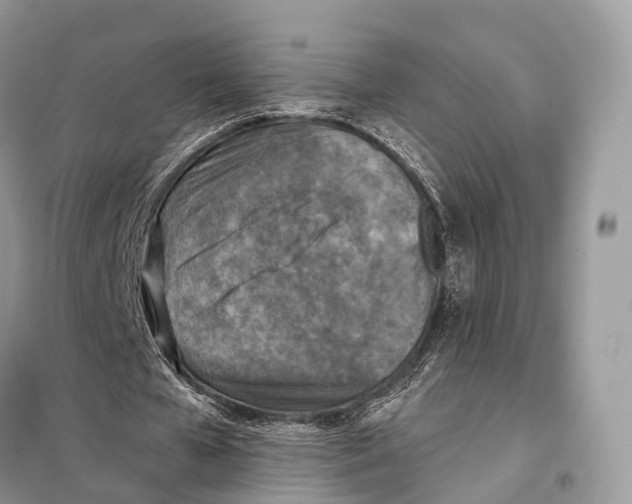 X0000098110577200805021135