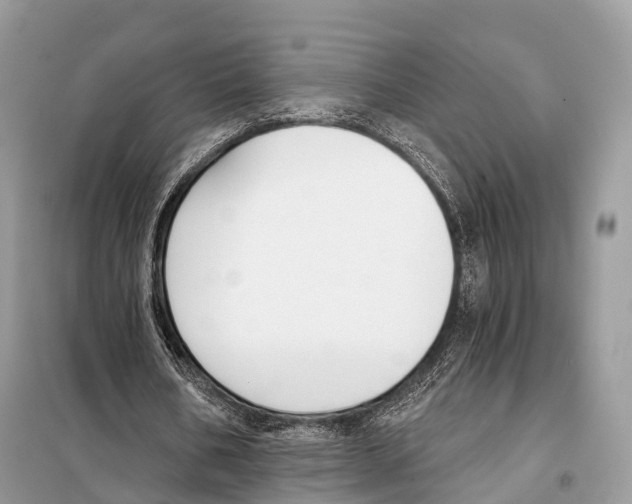 X0000098110578200805021135