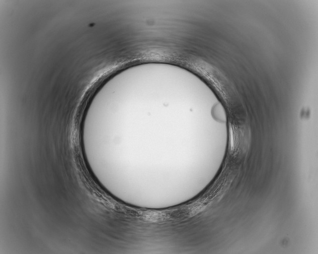 X0000098110579200805021135