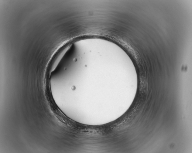 X0000098110580200805021135