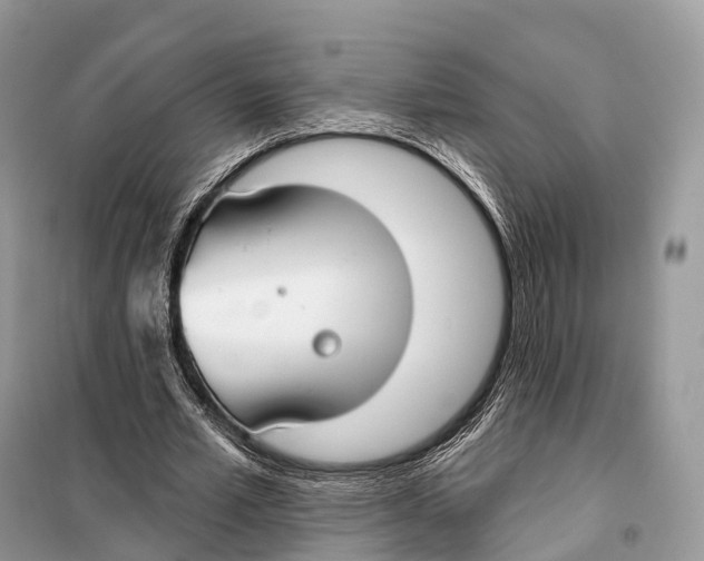 X0000098110581200805021135