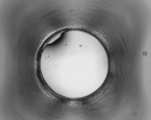 X0000098110584200805021134