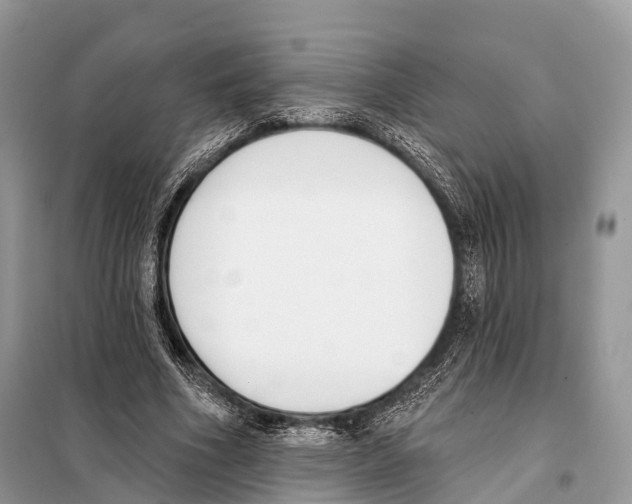 X0000098110586200805021134