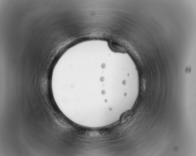 X0000098110588200805021134