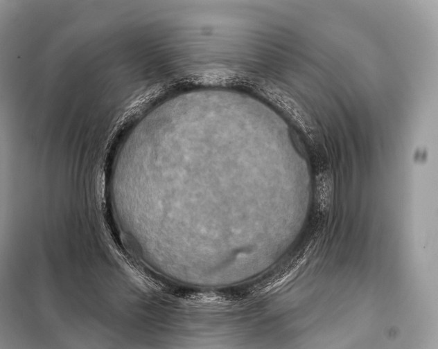 X0000098110589200805021134