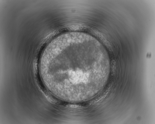 X0000098110590200805021134