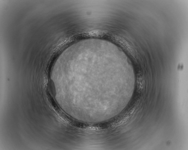 X0000098110593200805021134