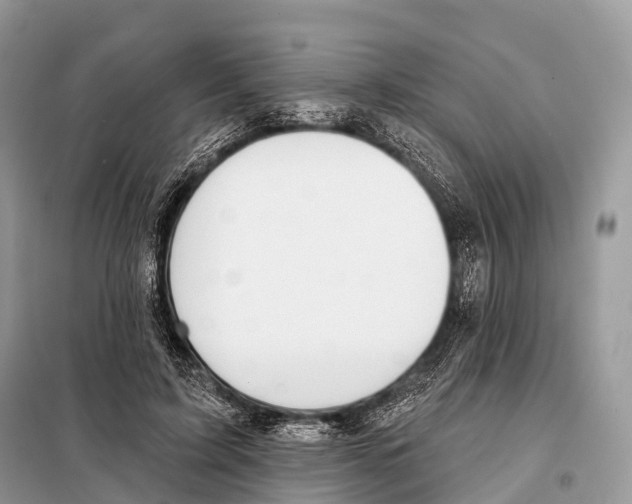 X0000098110595200805021134