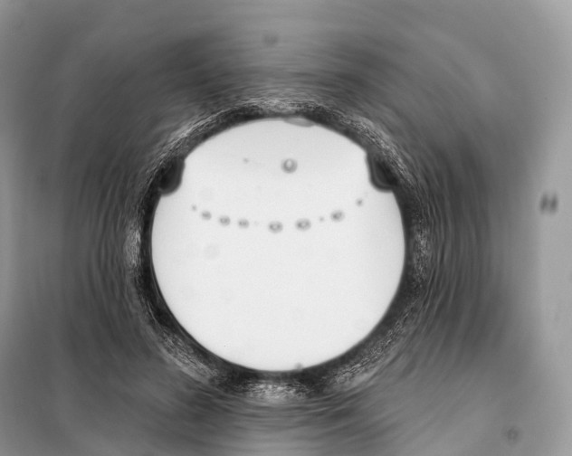 X0000098110596200805021134