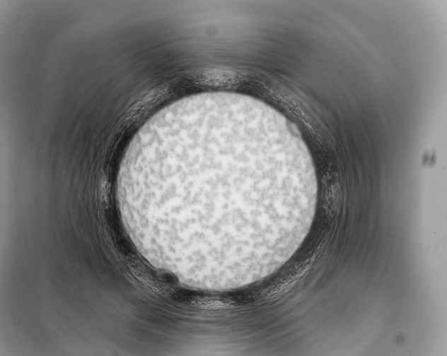 X0000098110597200805021134