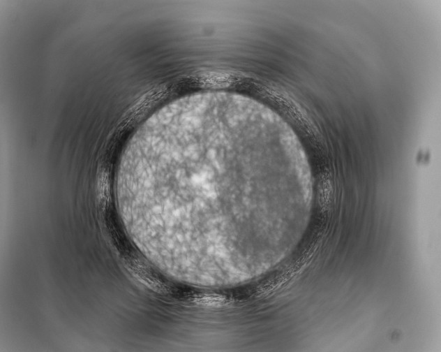 X0000098110598200805021134