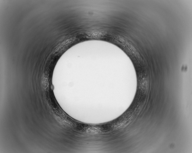 X0000098110599200805021134