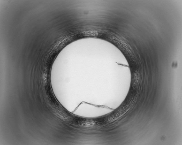 X0000098110600200805021134