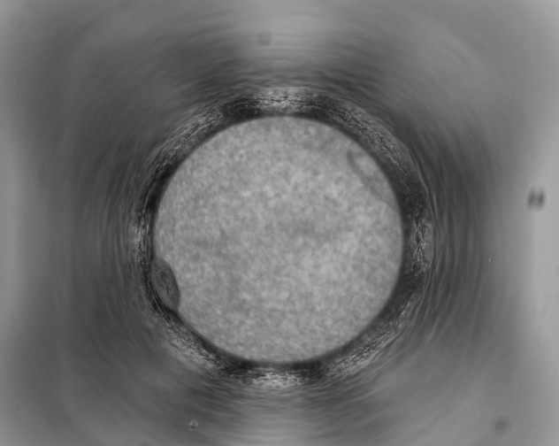 X0000098110601200805021134