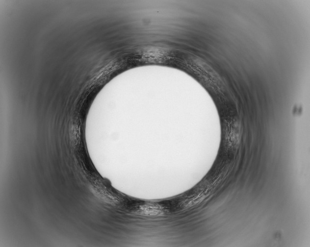 X0000098110603200805021134