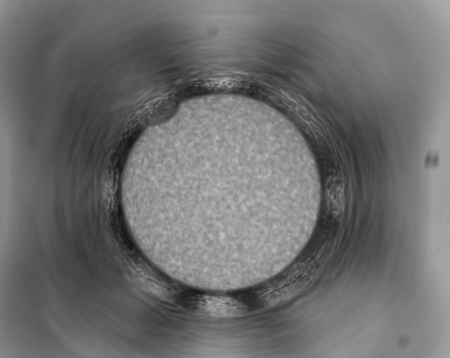 X0000098110605200805021134