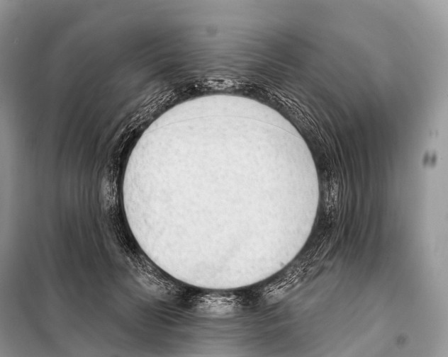 X0000098110606200805021134