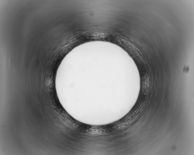 X0000098110608200805021134