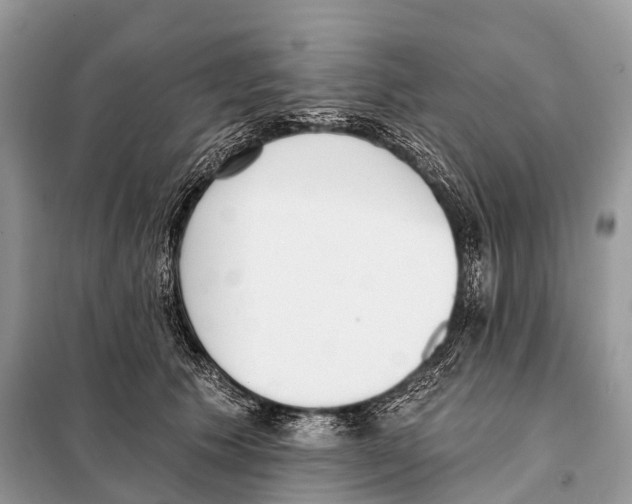 X0000098110609200805021134