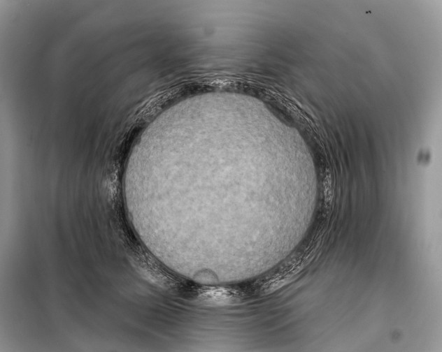 X0000098110611200805021134