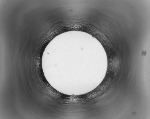 X0000098110612200805021134