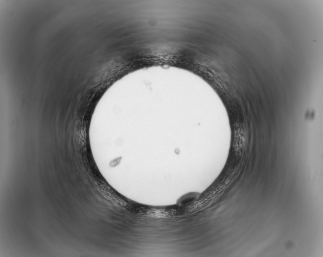 X0000098110613200805021134