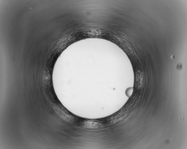 X0000098110614200805021134