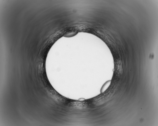 X0000098110615200805021134