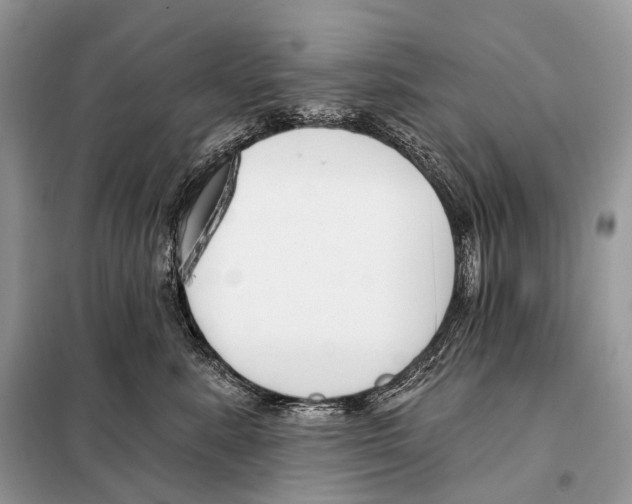 X0000098110619200805021134