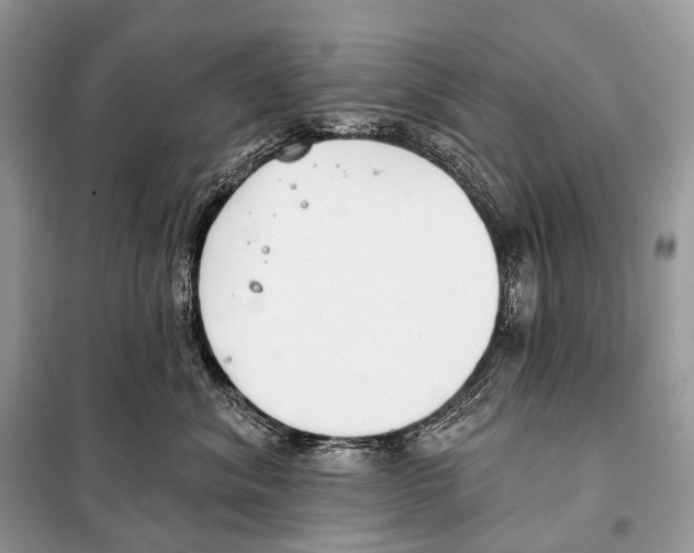 X0000098110620200805021134