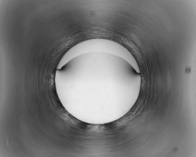 X0000098110621200805021134