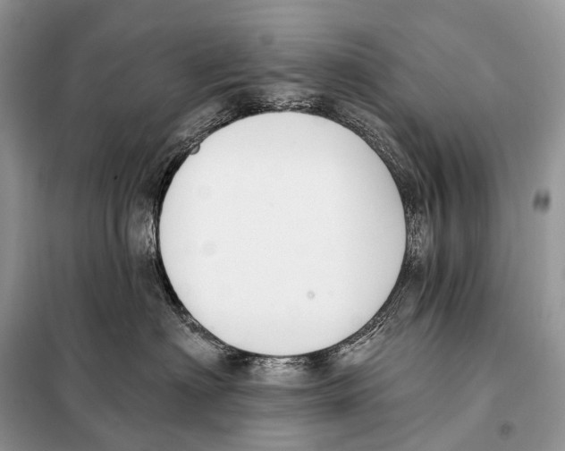 X0000098110622200805021134