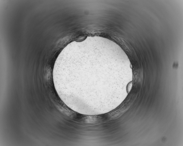 X0000098110623200805021134