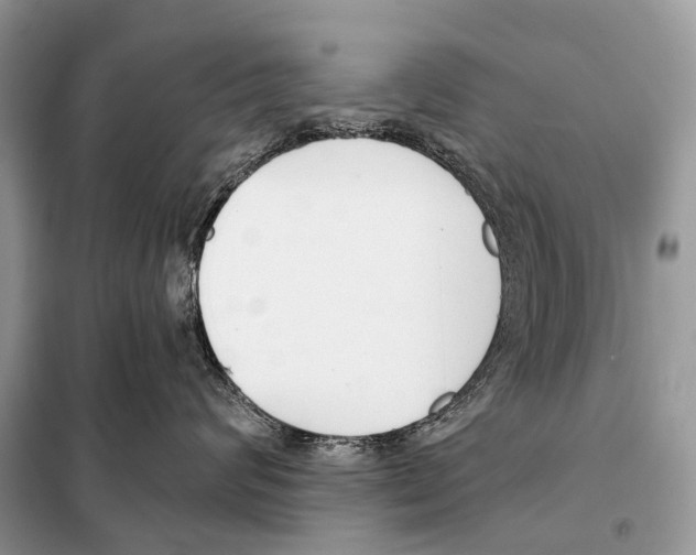 X0000098110624200805021134