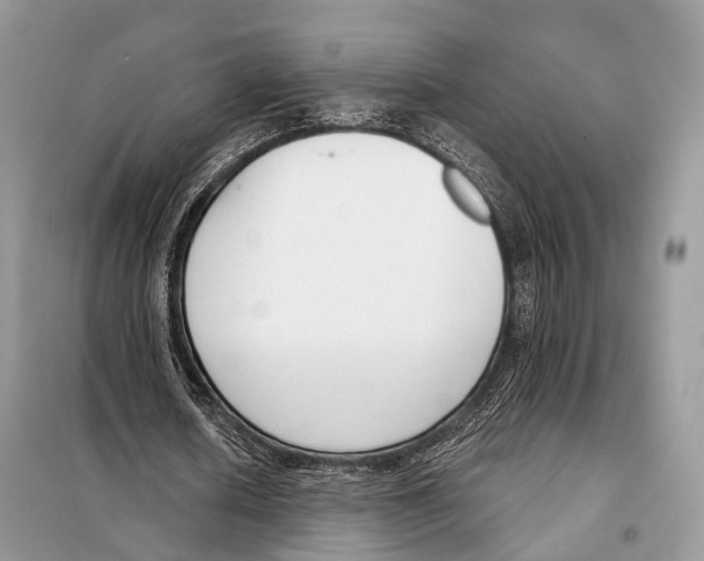 X0000098110626200805021133