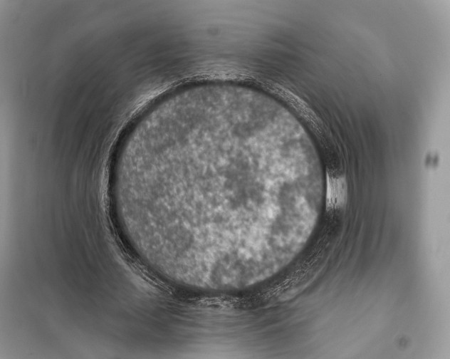 X0000098110627200805021133