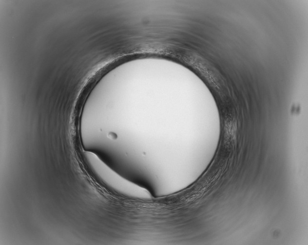 X0000098110628200805021133