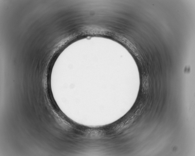 X0000098110629200805021133