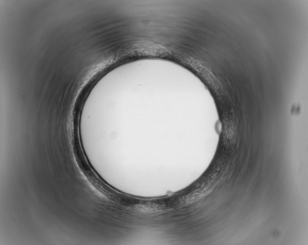 X0000098110630200805021133