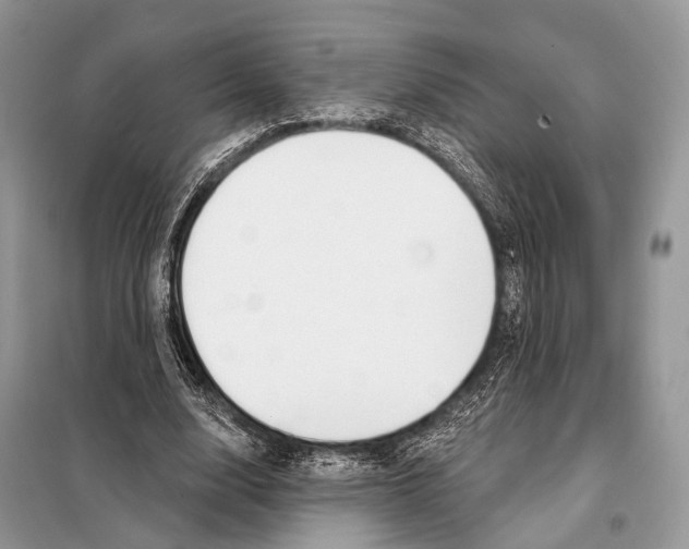 X0000098110632200805021133