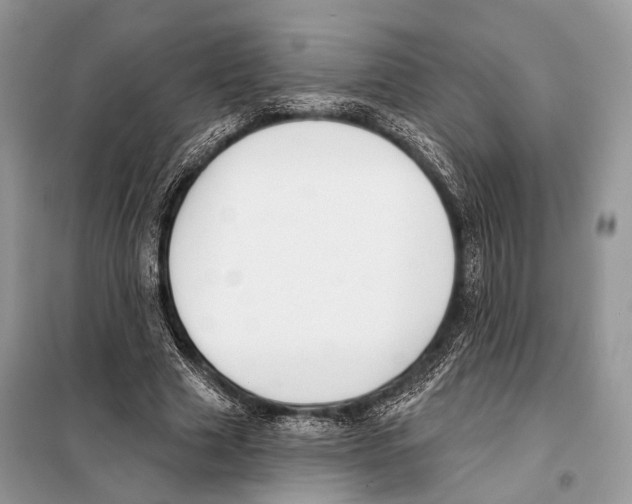 X0000098110633200805021133