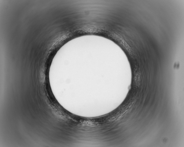 X0000098110635200805021133