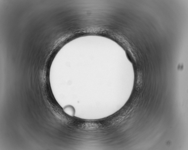 X0000098110636200805021133