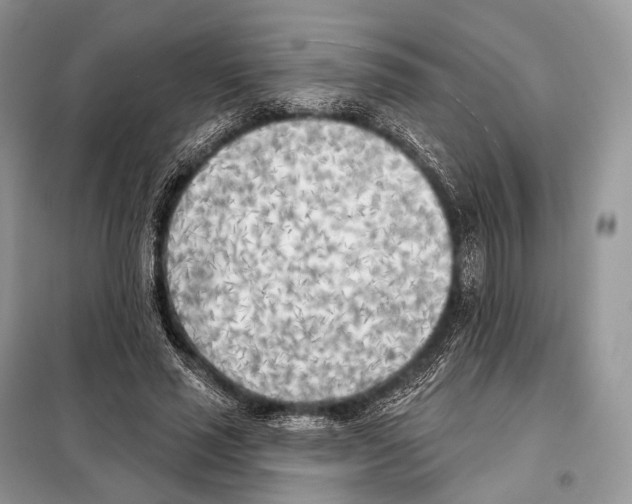 X0000098110637200805021133
