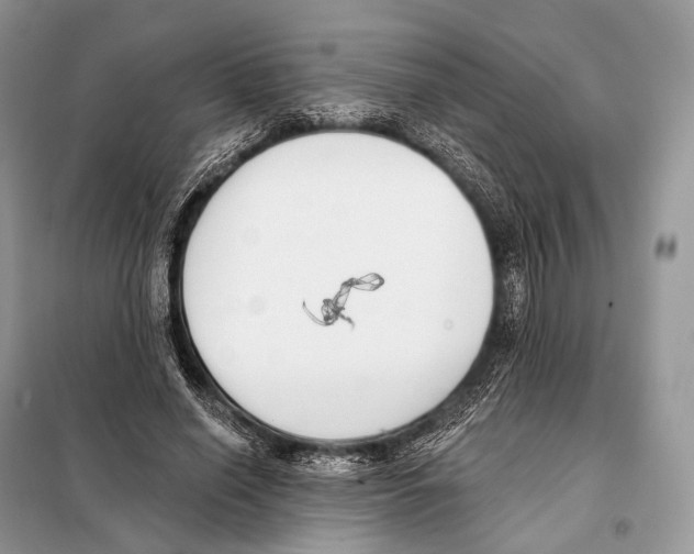 X0000098110638200805021133