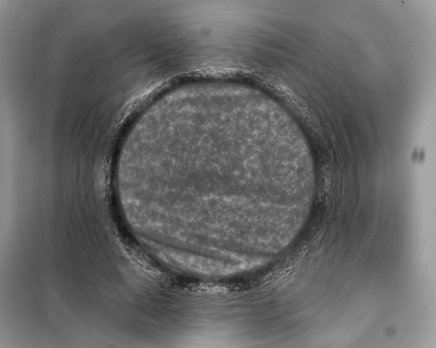 X0000098110640200805021133